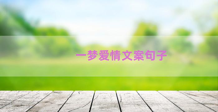 一梦爱情文案句子