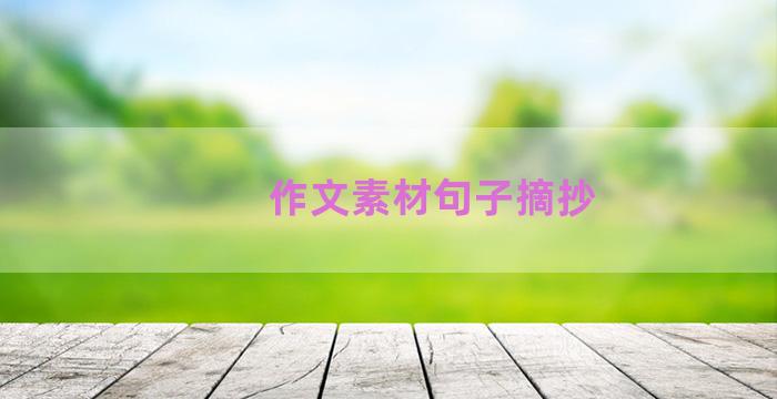 作文素材句子摘抄