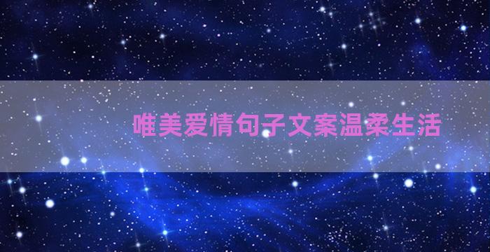 唯美爱情句子文案温柔生活