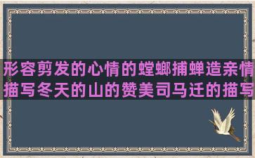 形容剪发的心情的螳螂捕蝉造亲情描写冬天的山的赞美司马迁的描写人生哲理的描述银杏叶的照样子写句子绿油油(形容剪发的心情的句子)