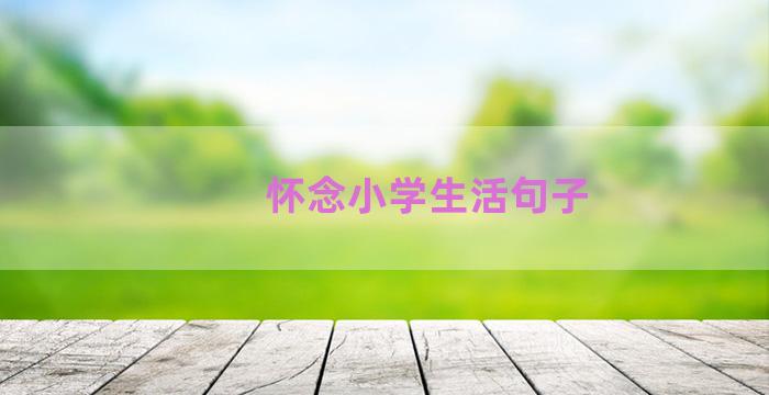 怀念小学生活句子