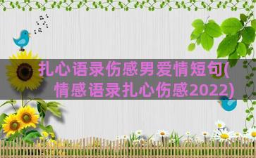 扎心语录伤感男爱情短句(情感语录扎心伤感2022)