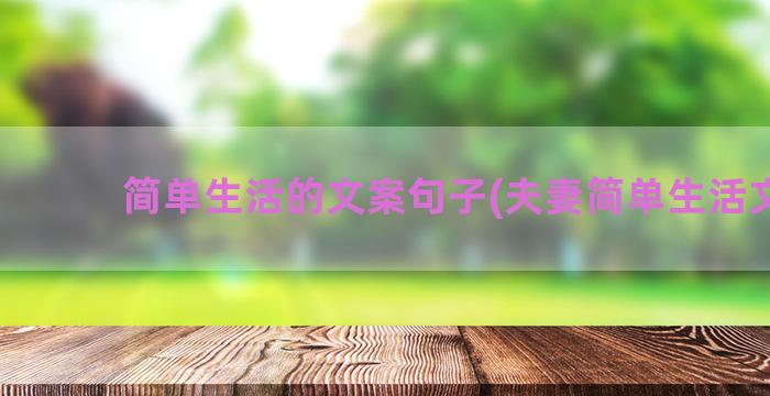 简单生活的文案句子(夫妻简单生活文案)