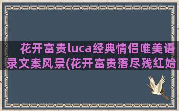 花开富贵luca经典情侣唯美语录文案风景(花开富贵落尽残红始吐芳)